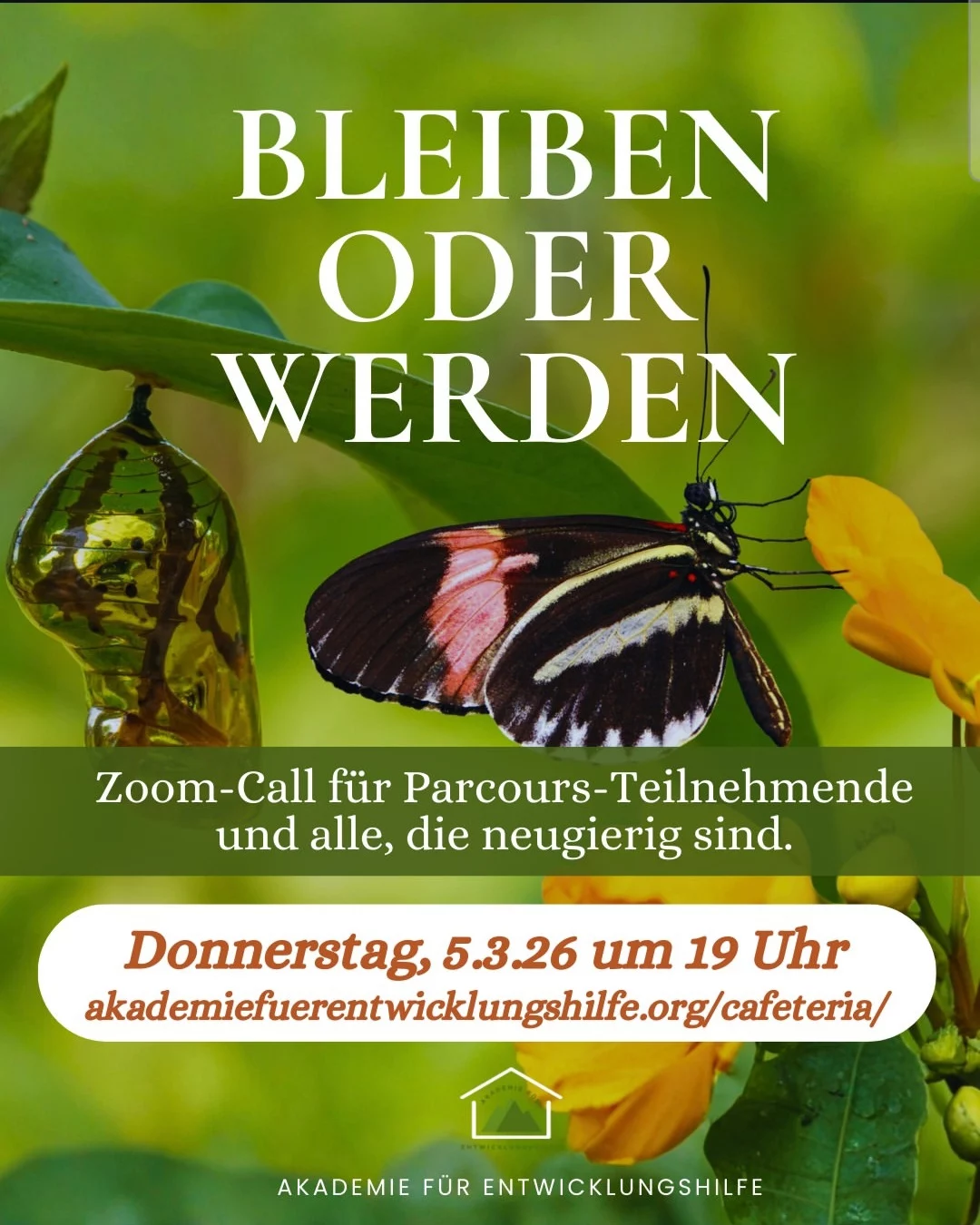 Zoom-Call für Parcour-Teilnehmende und alle, die neugierig sind